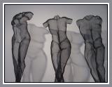 Dancing Shadows