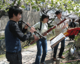 Classical concert.gif