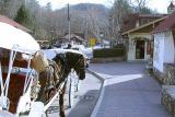 Stop horsing around!! *