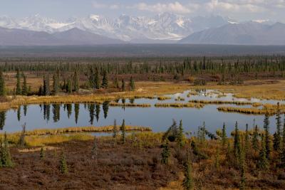 order f 7943_view along denali highway.jpg
