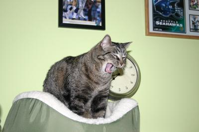 Phoebe Yawining