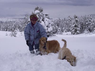 gaylesnowpups2.jpg