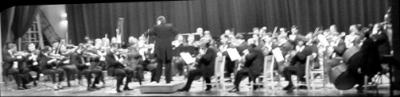 Concert V - Arlington