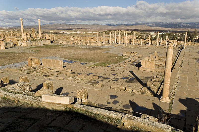 Forum