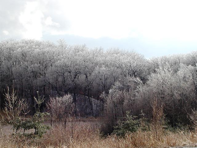 P4054676.jpg