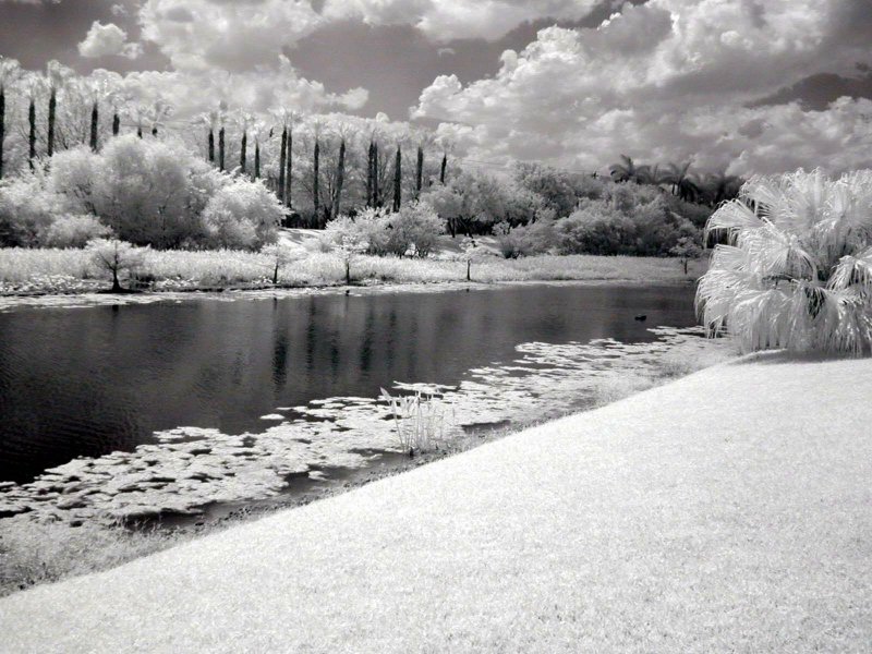 DSCN0237a.JPG