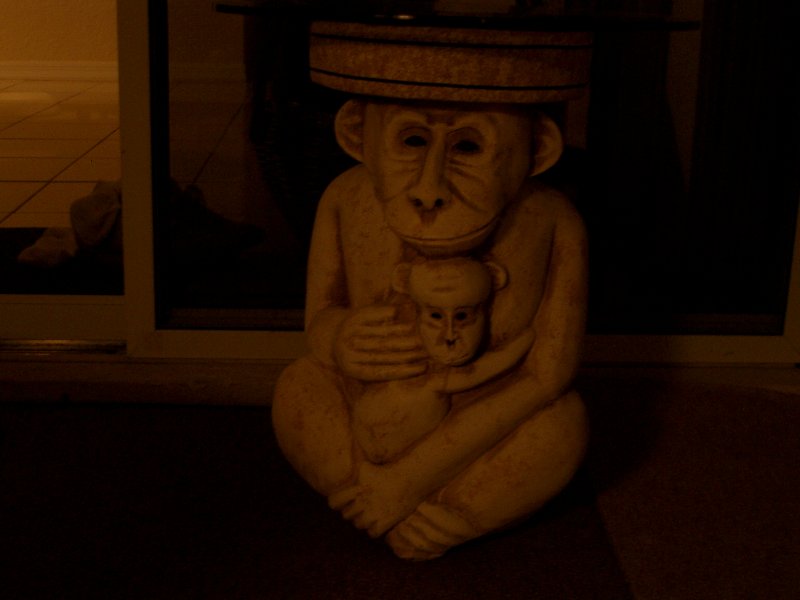 IMGP0078.JPG