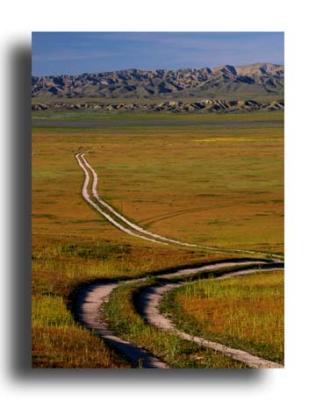 The Carrizo Plain - California