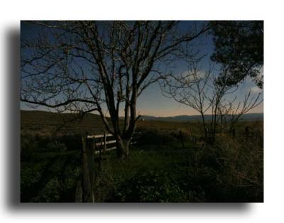 Moonlight - Carrizo Plain