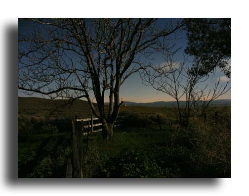 Moonlight - Carrizo Plain