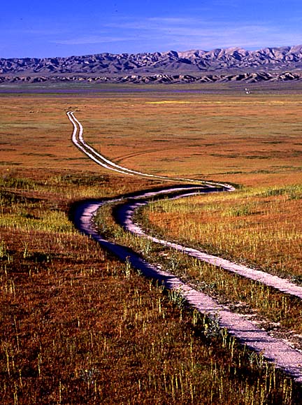 Carrizo Plain