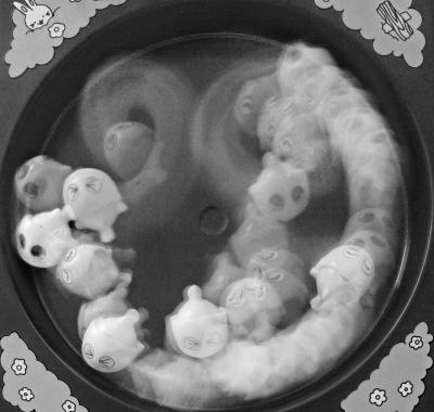 fish_game monochrome (ghostly)