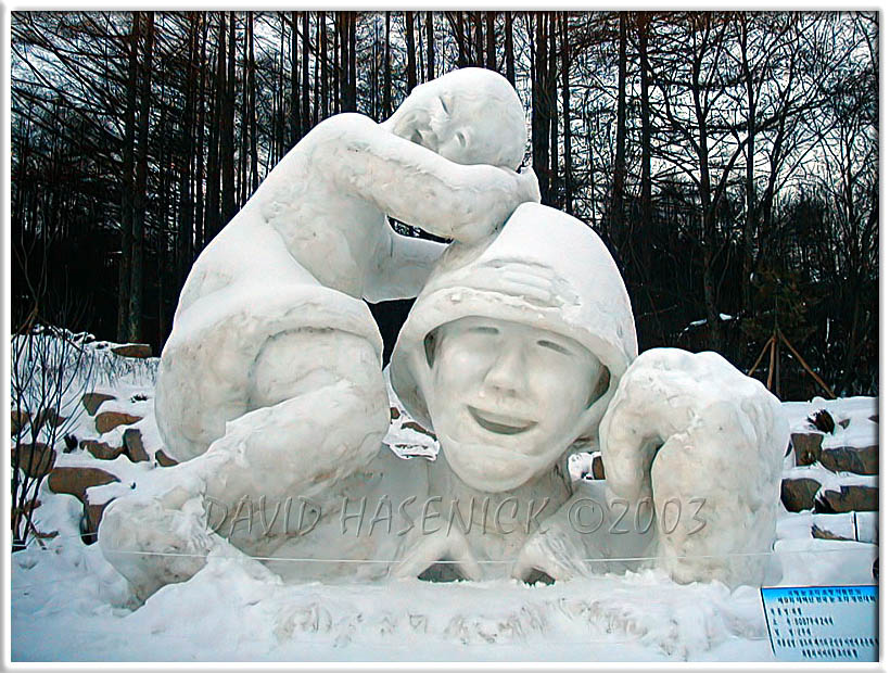 South Korean Soldier