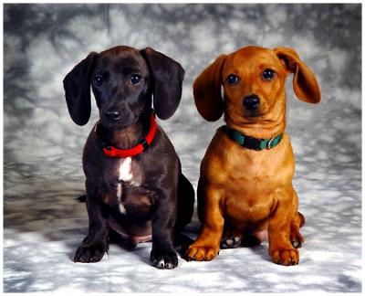 Brother & Sister 