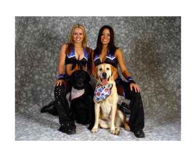Pet Shoot