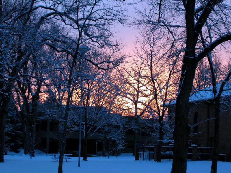 Library Park Ft. Collins