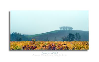 Arrowwood Hill-2
