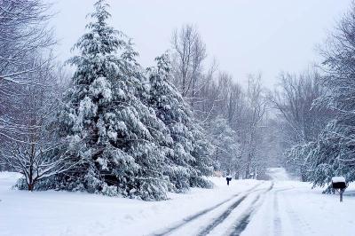 Fresh Snow
