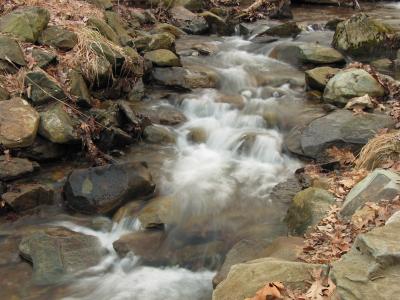 flowing stream