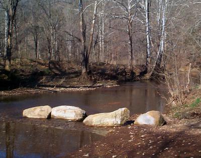 Bernheim forest research road 03/25/03