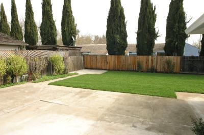 117-1726_IMG_backyard_left.jpg