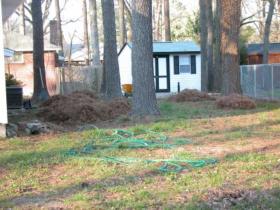New shed