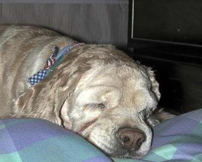 Slumber.jpg