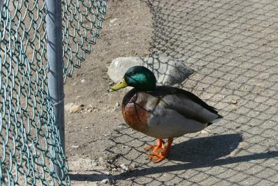 IMG_2532.JPG