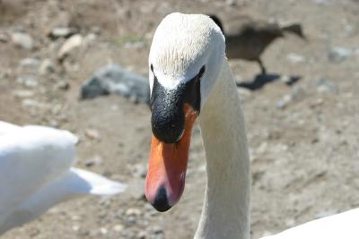 IMG_2544.JPG