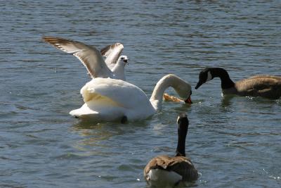 IMG_2618.JPG