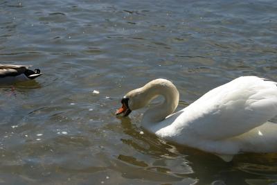 IMG_2657.JPG