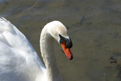 IMG_2673.JPG