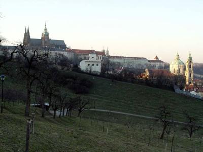Prague Castle view from Petrin Hill