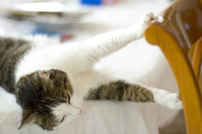 Julcie stretching 1.jpg