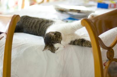 Julcie stretching.jpg