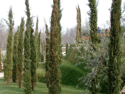 El Bosque de los Ausentes