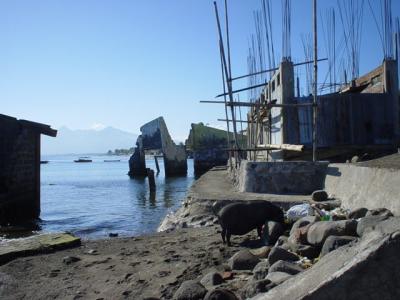 Maumere's wrecked waterfront
