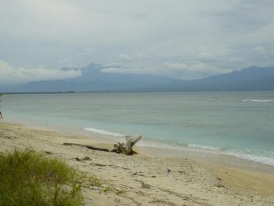 Driftwood beach on Gili Trawangan