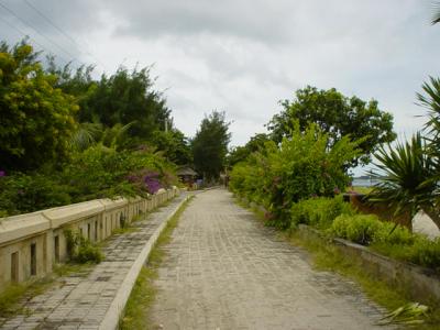 Dsc00358.jpg