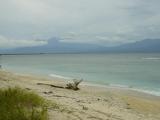 Driftwood beach on Gili Trawangan