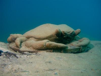 Krabben (34)