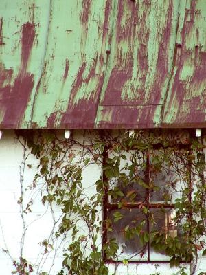 Window II