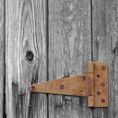 Rusty Hinge