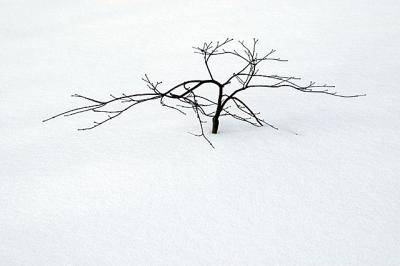 2003 Snowstorm in Virginia