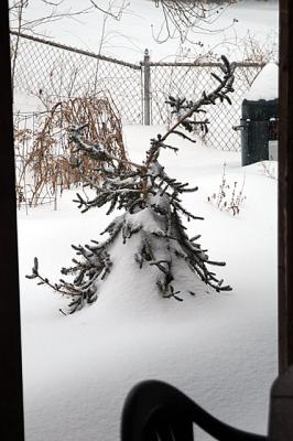 2003 Snowstorm in Virginia