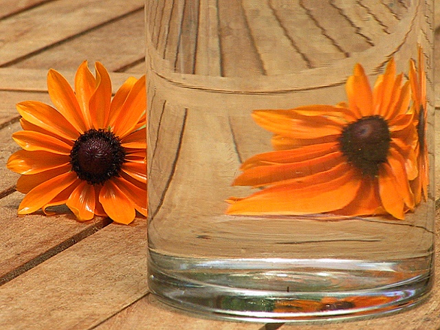 Transparent I