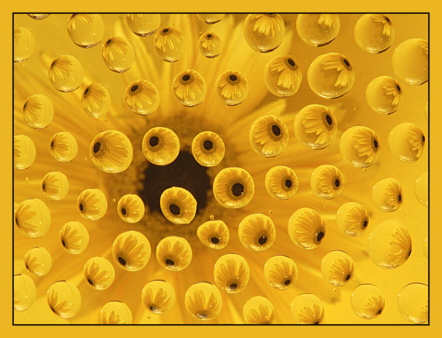 Yellow Cliche