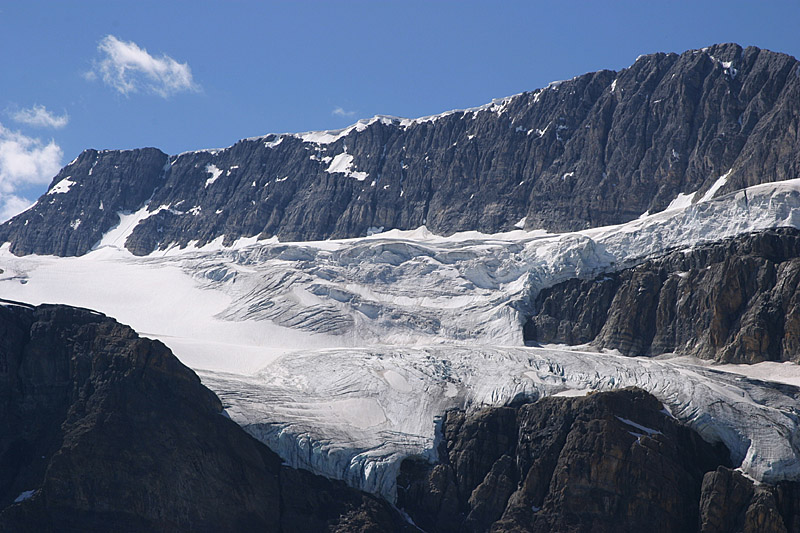 Crowfoot Glacier
