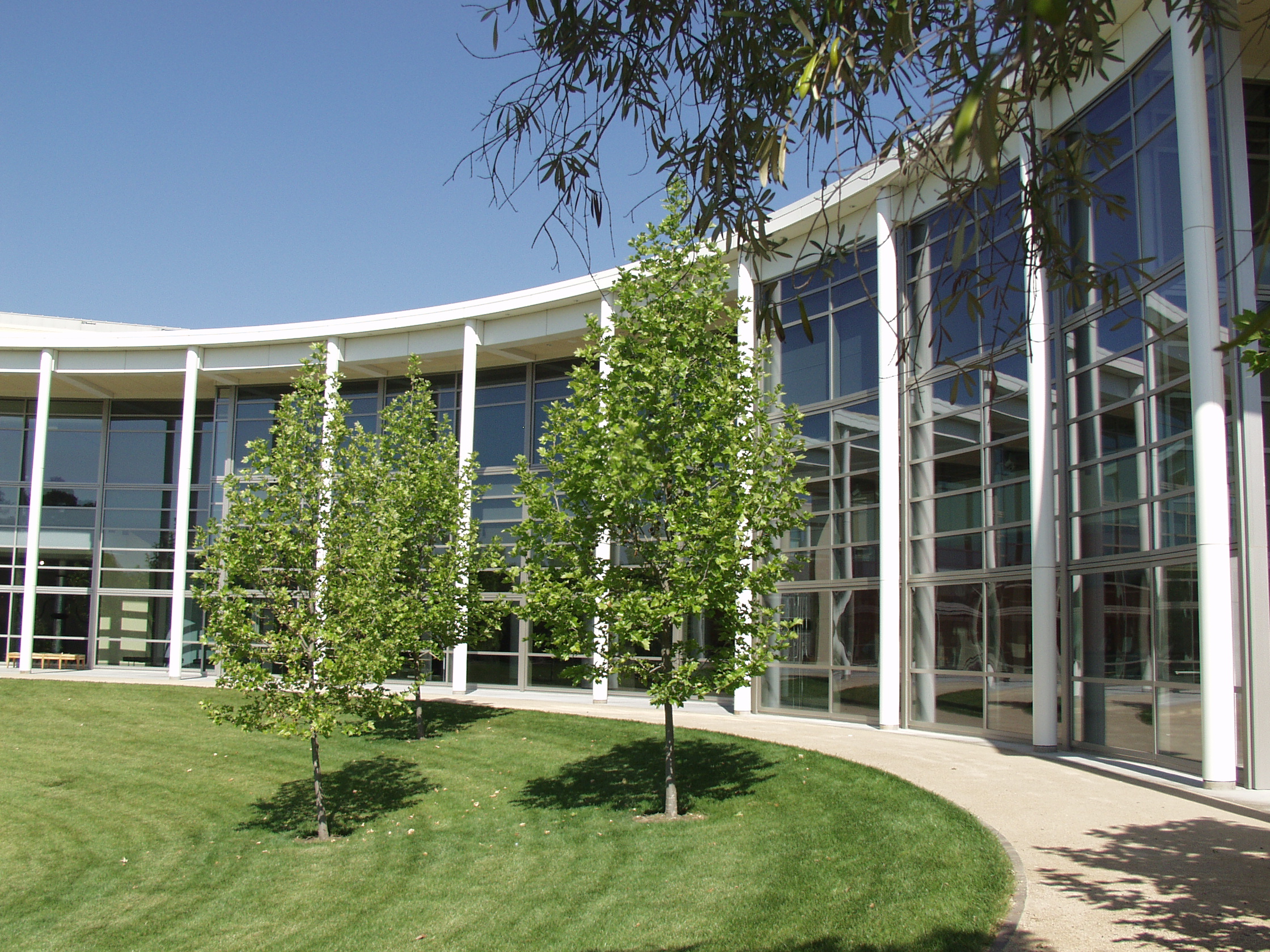 Copia Center
