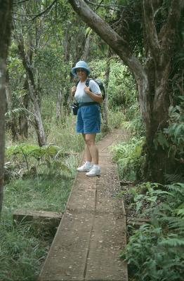 07-26-Passage over Swamp